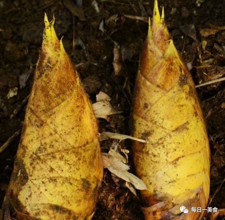 月港自昔号巨镇的“闽南—大都会”