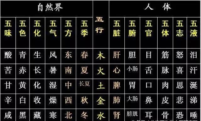 吴文博河北省石家庄市中医院——什么是养生？