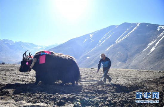 中国哪个地级市管辖的县级单位最多吗？