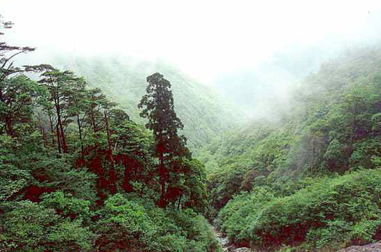 武夷山攻略_武夷山_武夷山天气预报