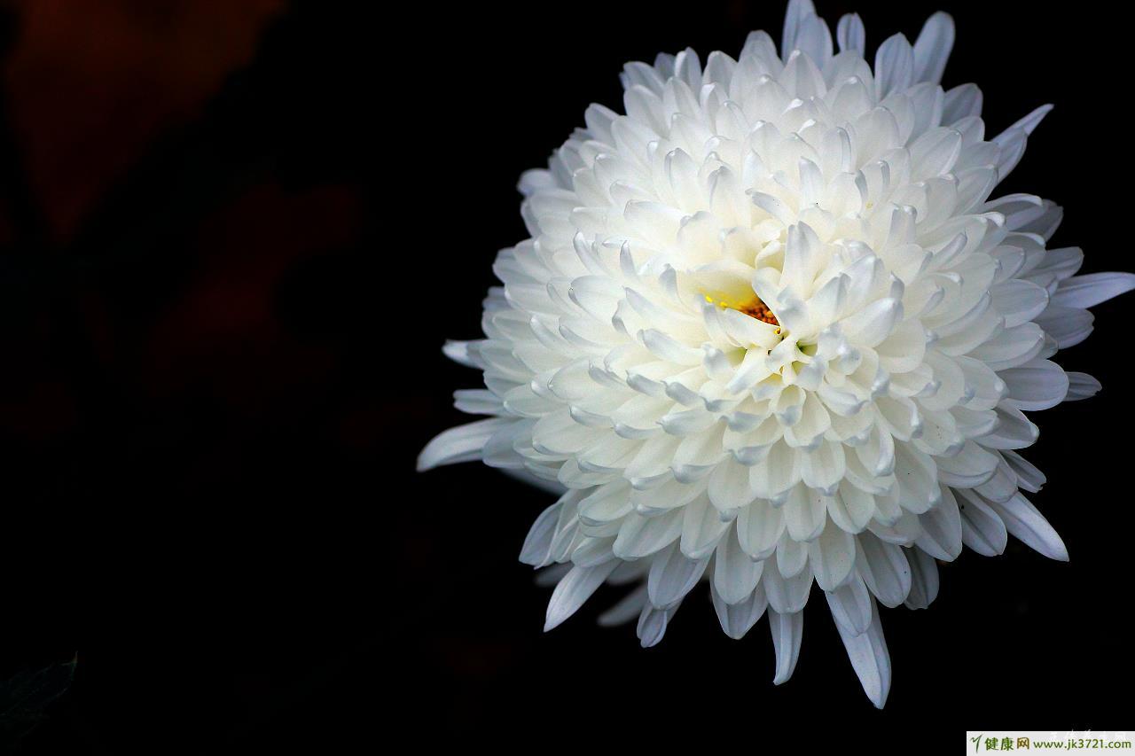 阿里健康大药房：感冒咳嗽的几种药，你知道吗？