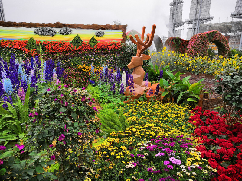 广州广州生活网_广州又回南天了_广州