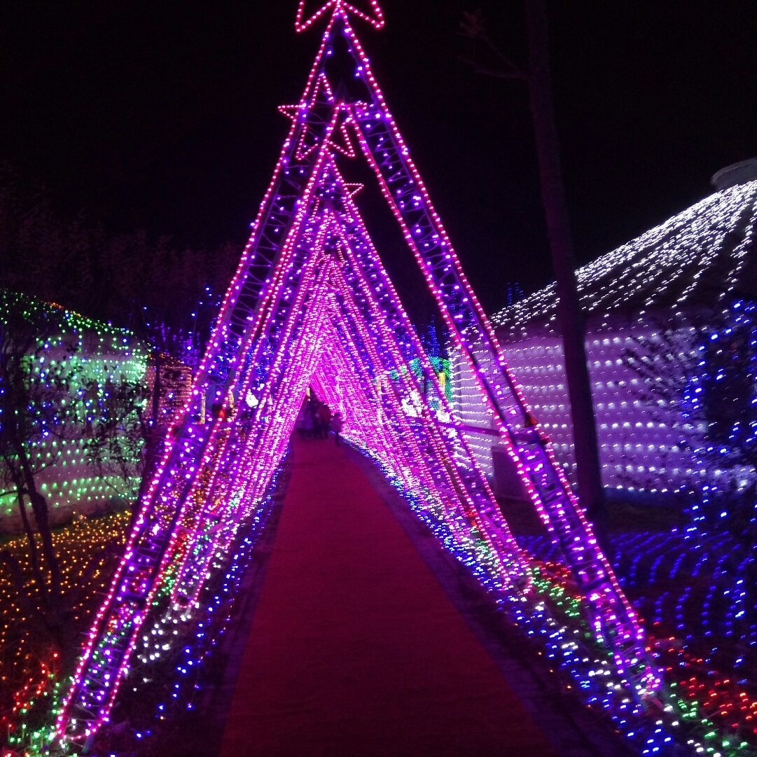 曹县新闻_曹县为什么火了_曹县