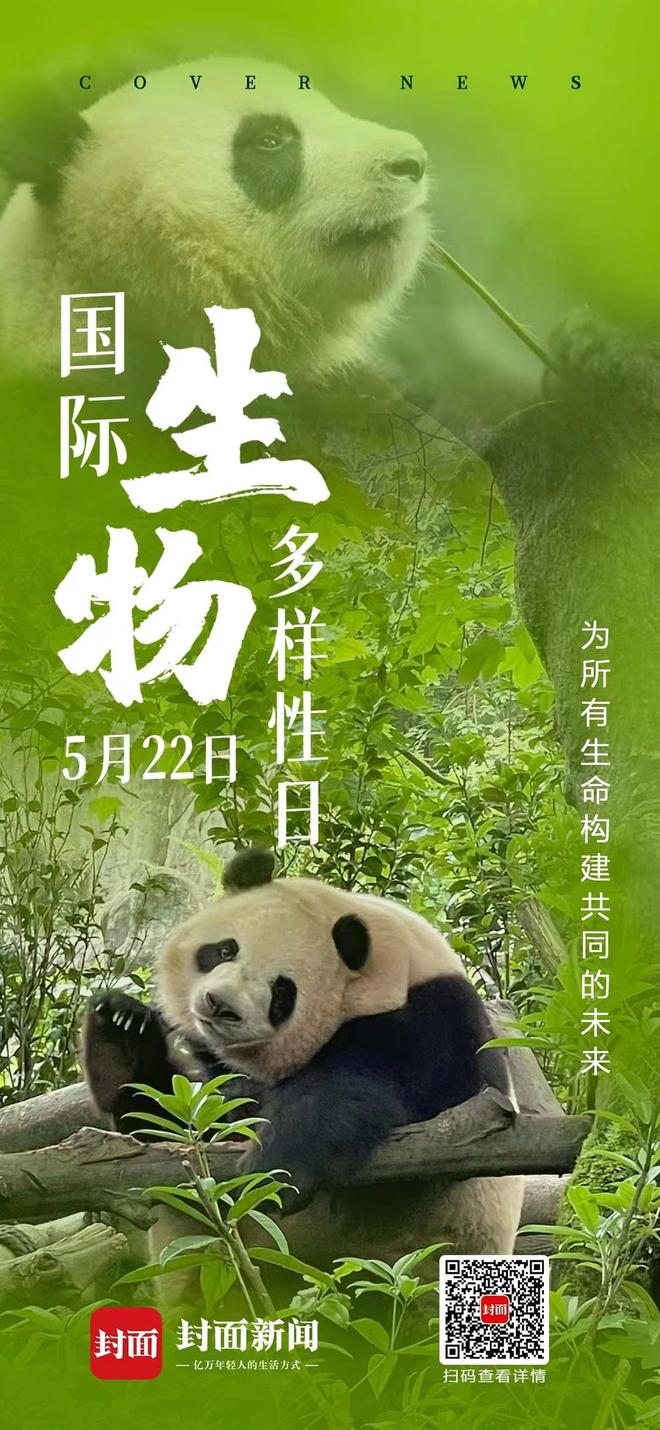 研究发现：_研究发现：_研究发现：