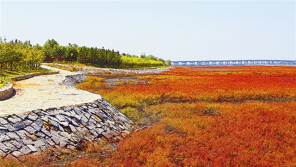 （11月财经新势力）东北地区或迎来新机遇