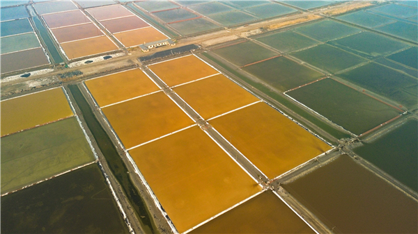 营口营口景点_营口_营口国际酒店