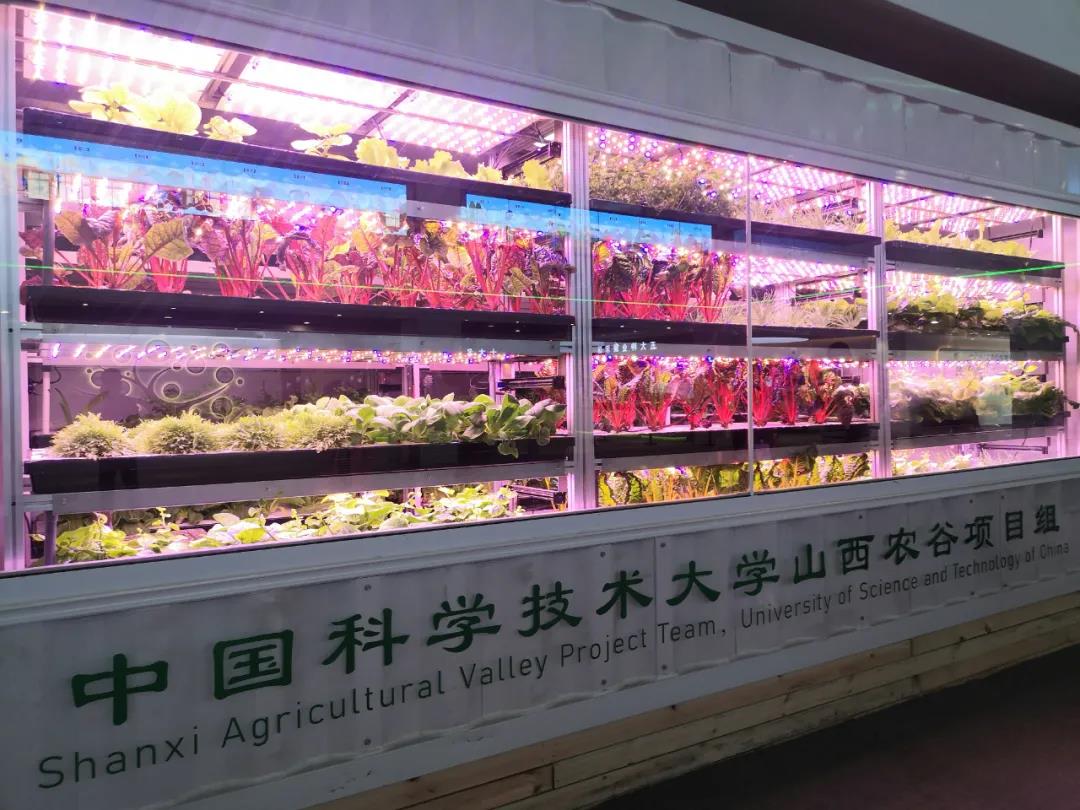 晋中二院_晋中_晋中太谷开启春风送岗