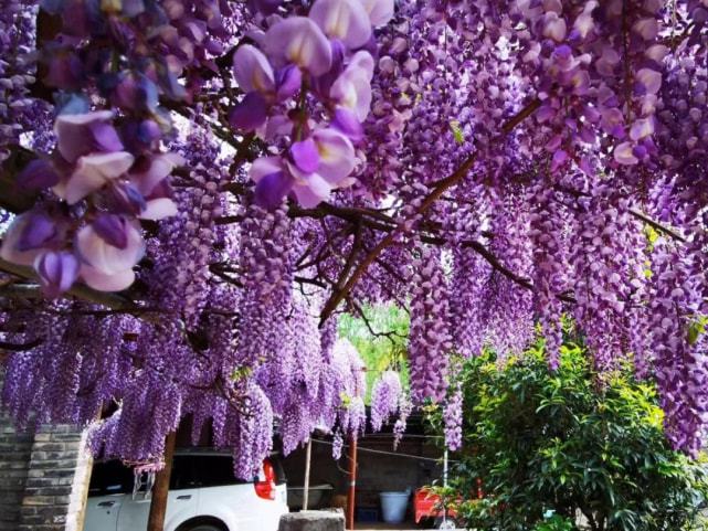丽江必去4个景点_丽江_丽江到丽江古镇