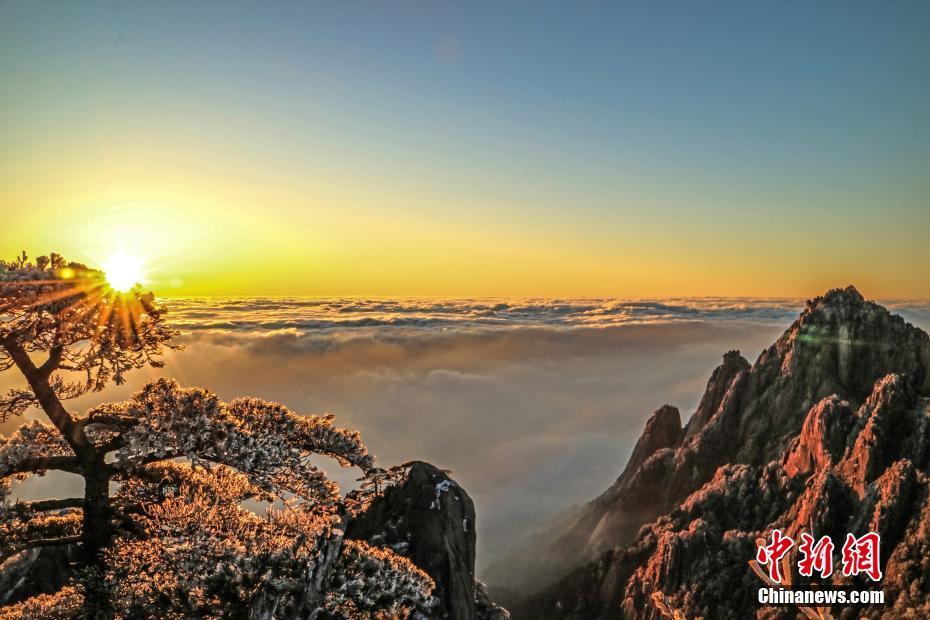黄山最美之处在于云海，在于奇松，也想看得到