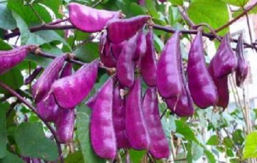 健康好文百里挑一#药物研发领域的机理及研发过程