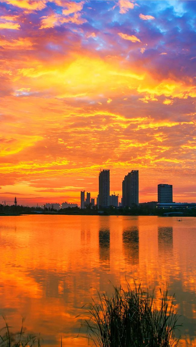 合肥天气_合肥_合肥