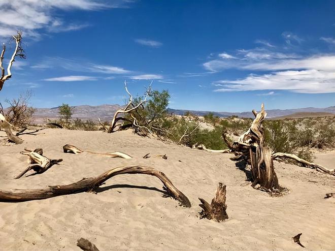 聊一聊：_聊城_聊斋3在线观看完整版电影