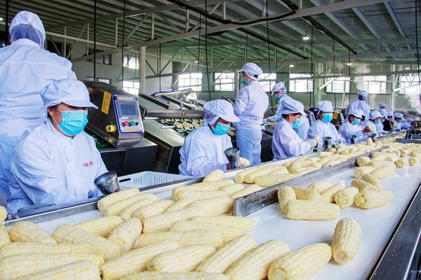 黑龙江双鸭山庆祝新中国成立70周年主题系列新闻发布会在哈尔滨举行