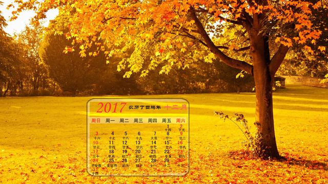 2024年和16年都是闰年，一时掀起一阵淘旧日历热潮