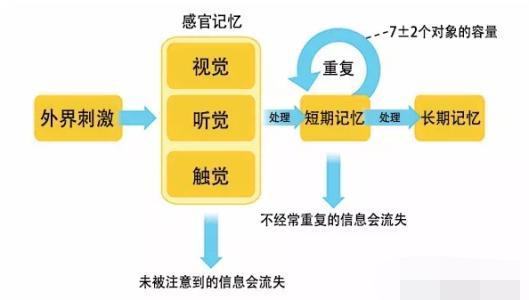 （每日一题）一切知识不过是记忆