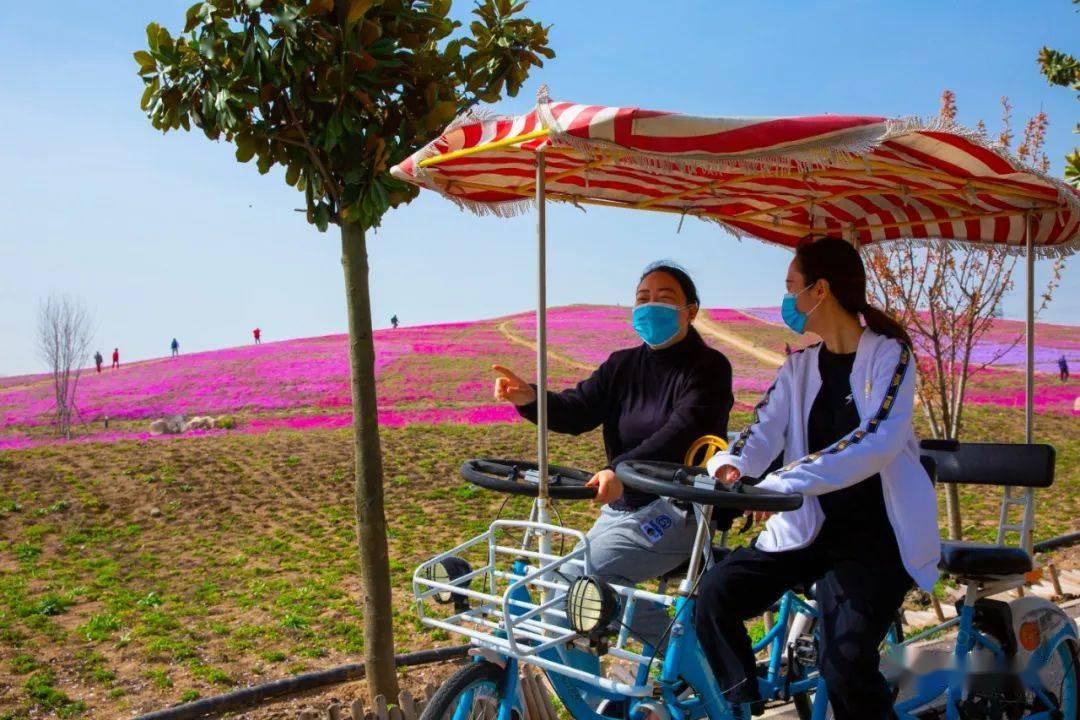 亳州市_亳州是哪个省的城市_亳州