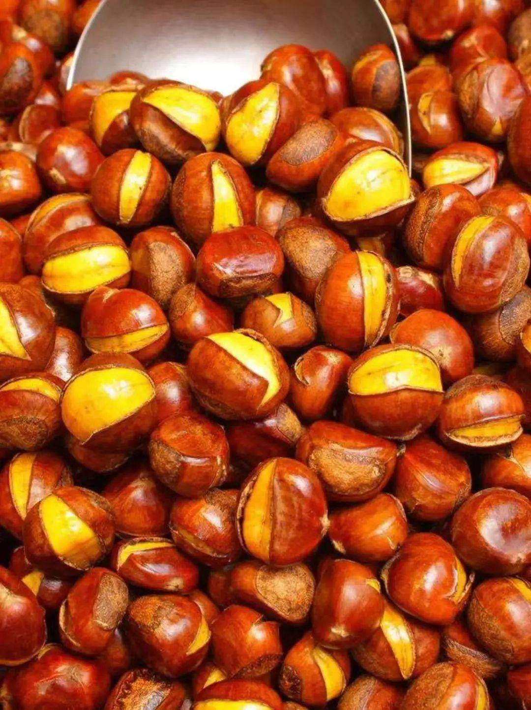 曹县_曹县是哪个省的城市_曹县医院