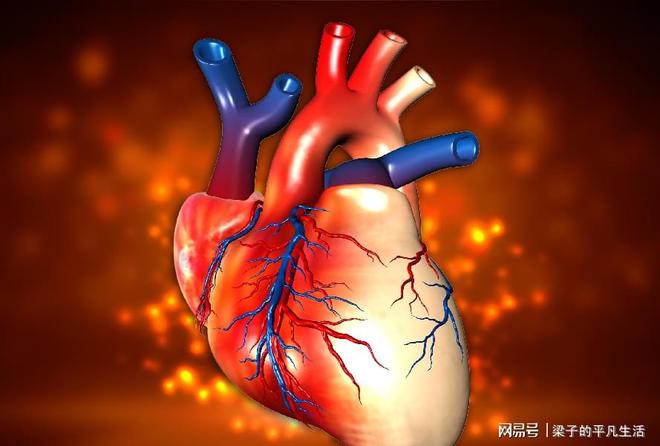 词语心病拼音xīnbì解释词语解释