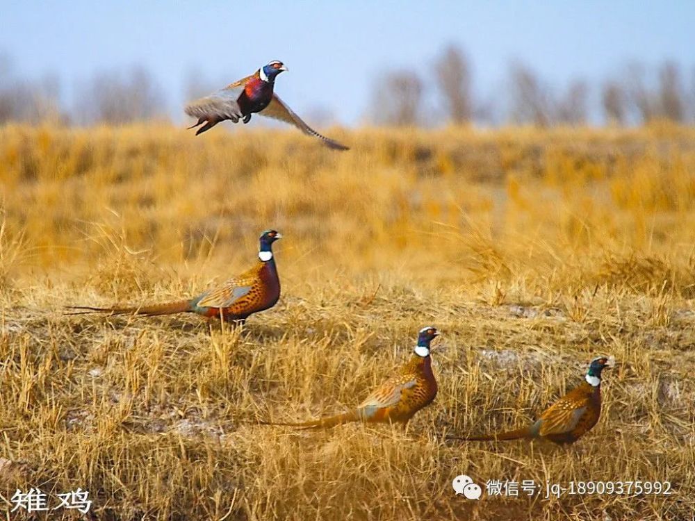 2023年酒泉市新能源产业继续扩大“十四五”