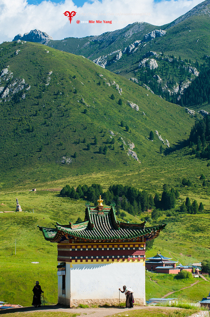 甘南旅游必去景点_甘南_甘南美食