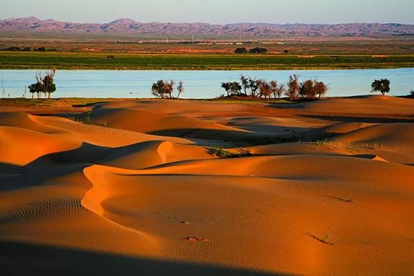 阿拉善盟_阿拉善盟盟_盟阿拉善左旗