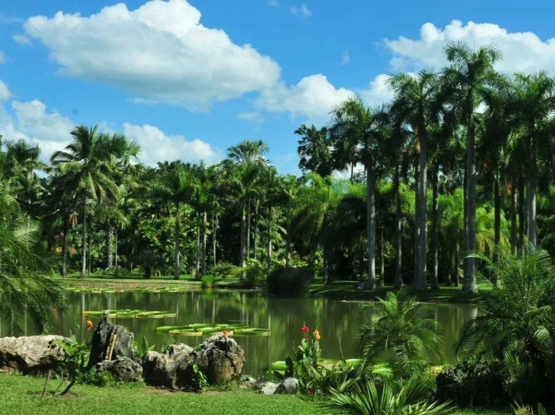 西双版纳小知识主要景点盘点及避雷防坑注意事项！