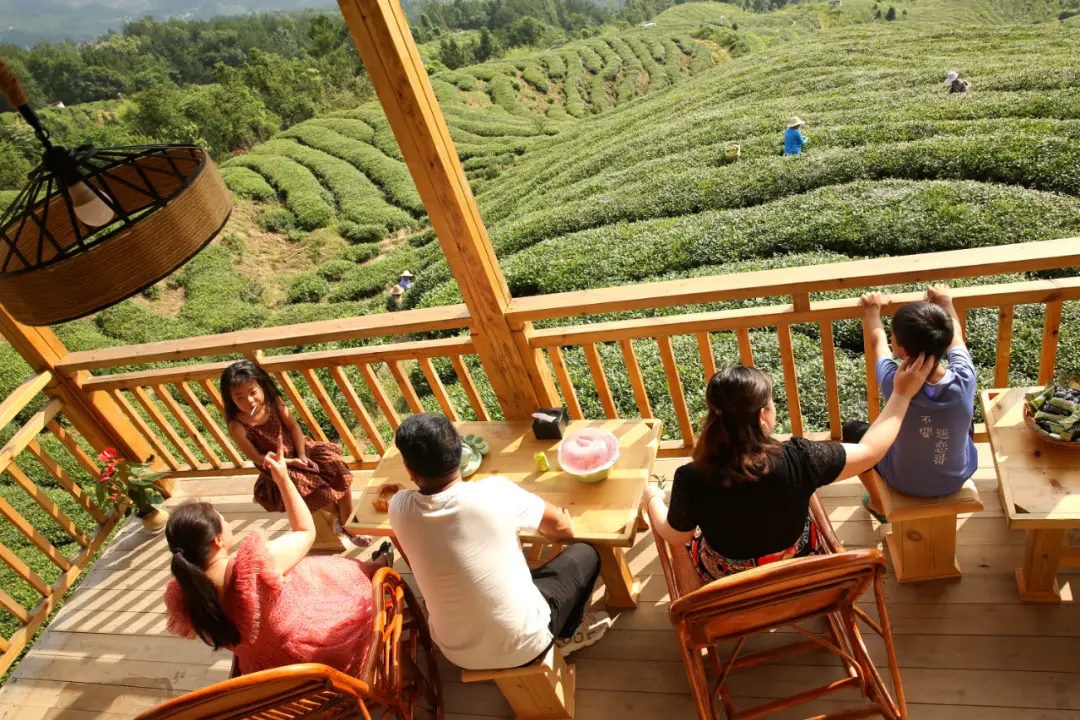 白沙_白沙参_白沙古镇