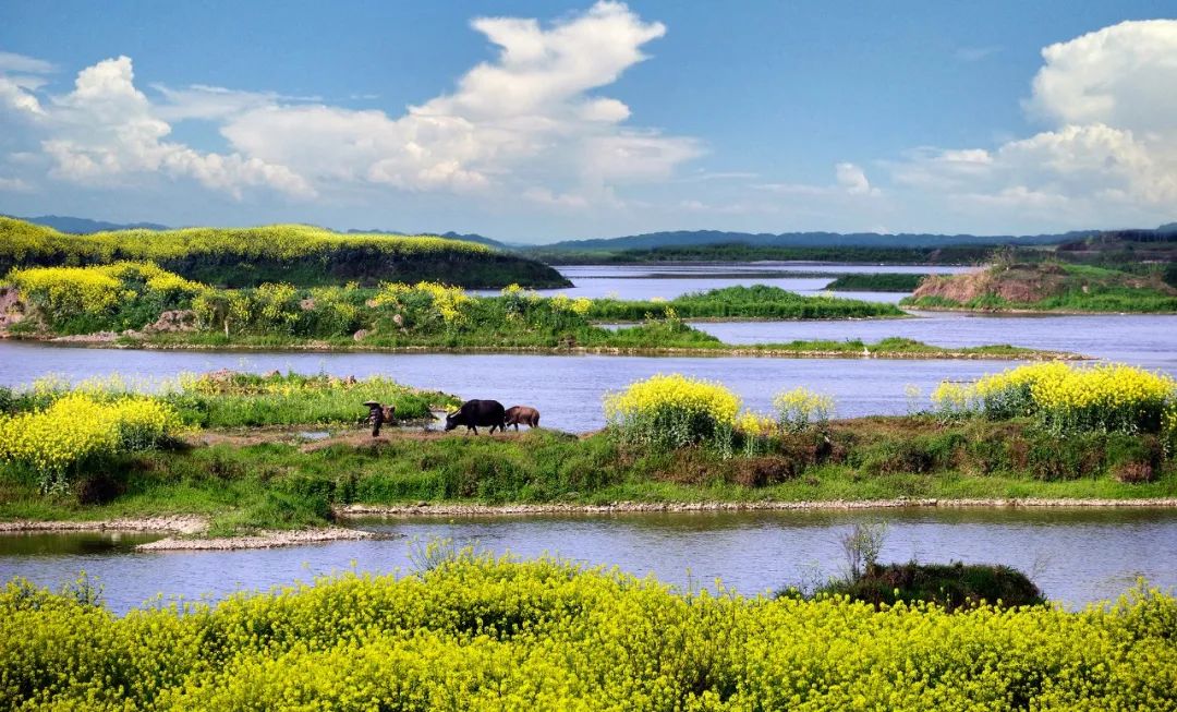 铜陵网_铜陵_铜陵天气