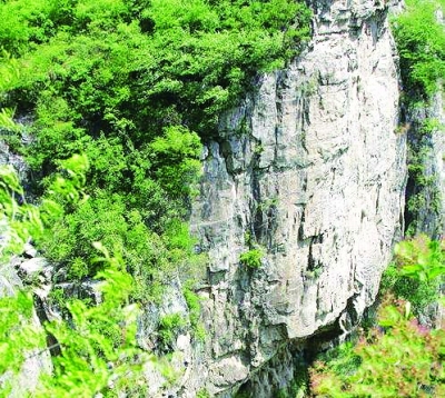 勐海县南糯山茶厂_山南_南山南