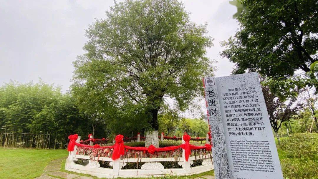 商洛：一个老茶客的邂逅，让我心生向往