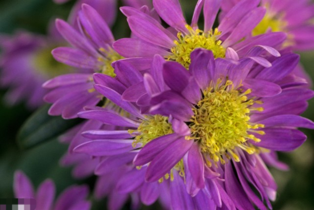 夜场很好赚钱，其实并不是这样的……！