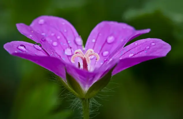 夜场辞职报告怎么写_夜场：_夜场营销怎么找客源