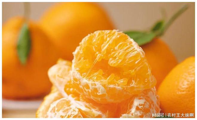 舟山旅游攻略_舟山_舟山天气