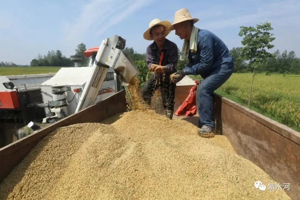 佳木斯旅游_佳木斯为什么叫佳木斯_佳木斯