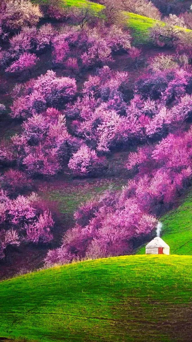 （蒙古记忆）新疆博乐市的独特魅力城市