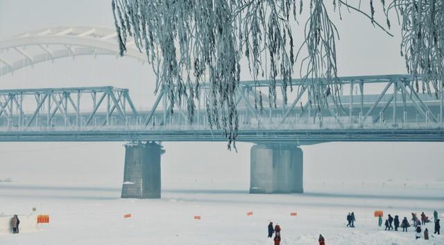 哈尔滨天气_哈尔滨_哈尔滨经济