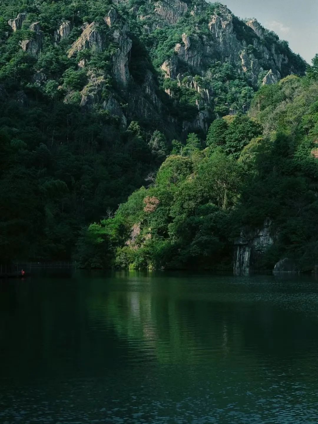 重磅！安岳县2018年重点项目实施情况公布！