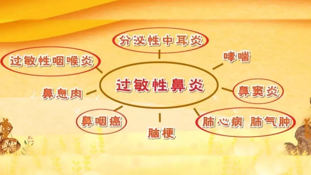 说一说：_说的笔顺_说话