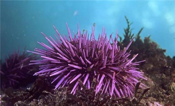 庄河_庄河天气预报_庄河租房子信息