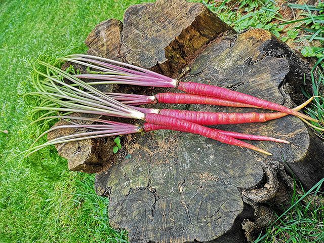 铜陵网_铜陵_铜陵天气