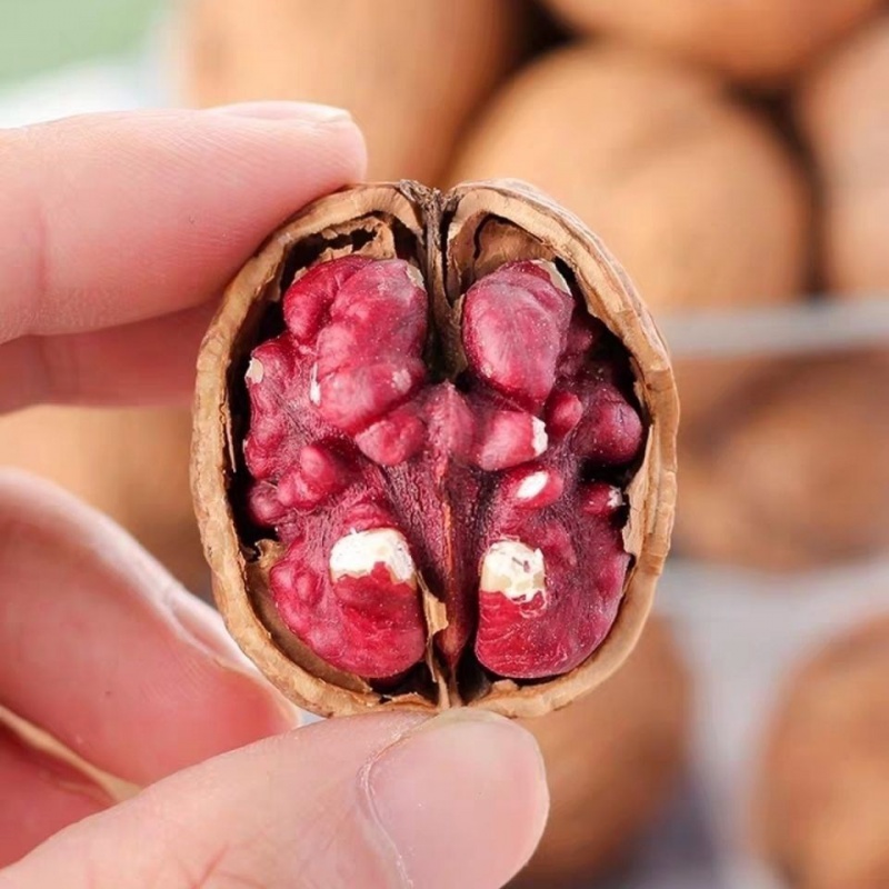 从古到今商洛的核桃都是一颗闪亮的“星”