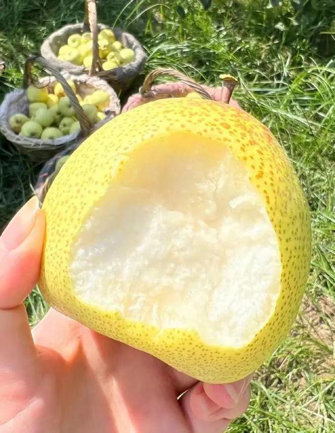 汝州吧汝州贴吧_汝州天气_汝州