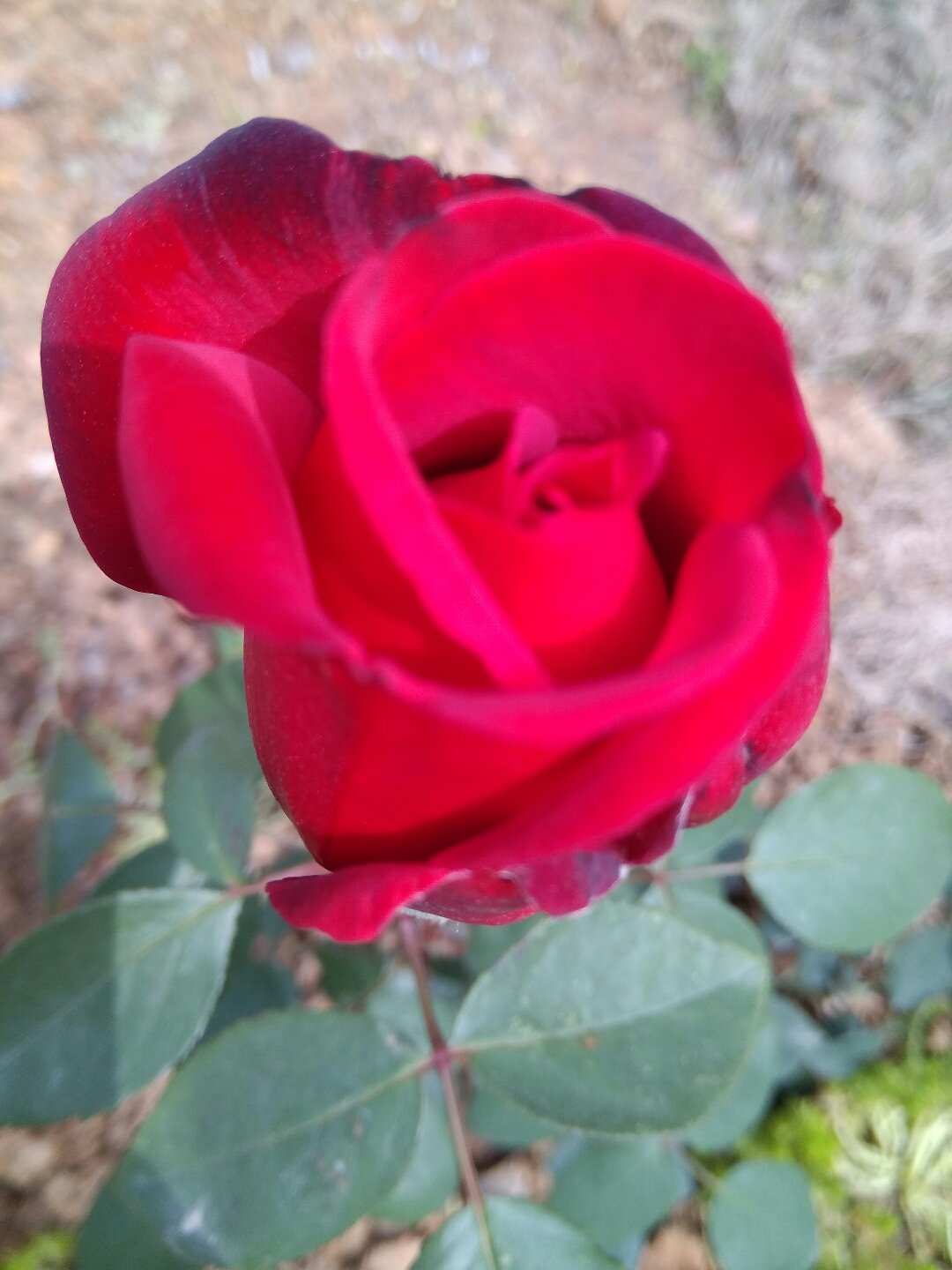 马鞍山_马鞍山属于哪个省_马鞍山即将升温至27℃