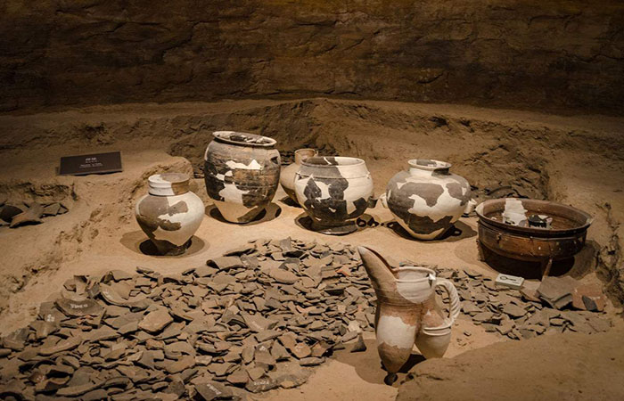 2017年国家公务员考试行测：常识储备二条