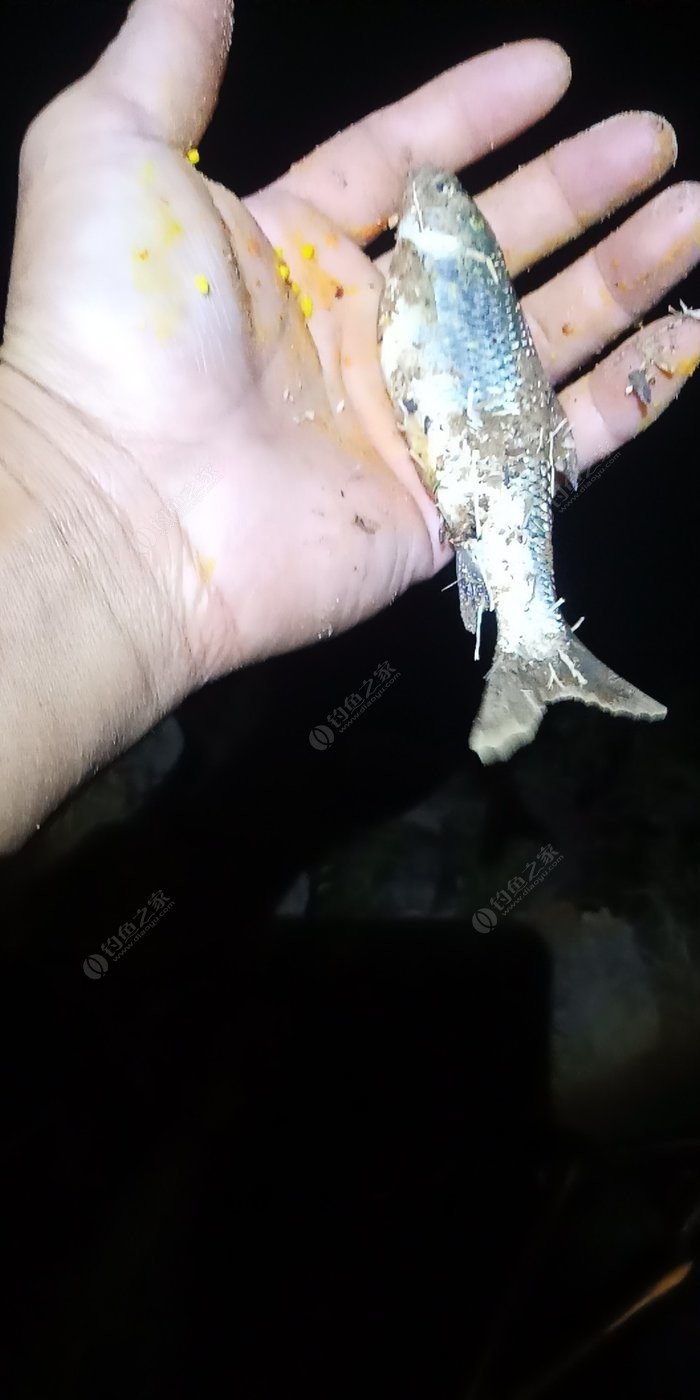 山东省威海市最东端,三面环海,海岸线长500公里(图2) 荣成景点_荣成五中吧_荣成