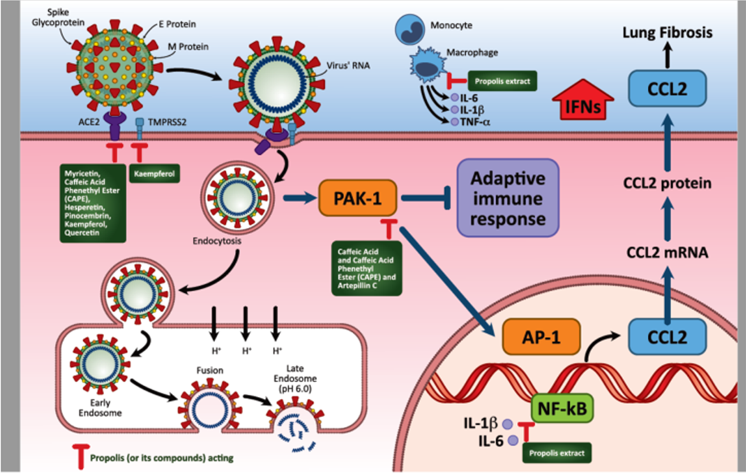 研究发现：_研究发现英语_研究发现：