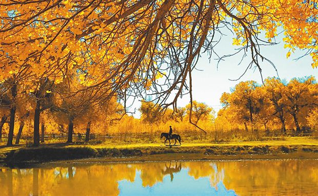 依托绿色资源发展绿色产业打造中部绿色崛起试验示范区(图3) 琼中租房_琼中_琼中旅游景点