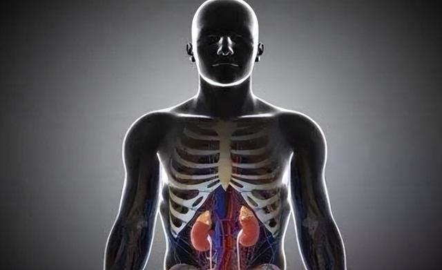 心病的意思_心病：_心病有哪些症状