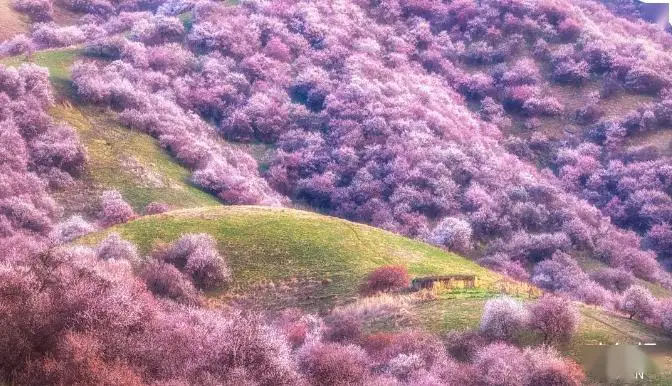 天门天气_天门_天门山图片
