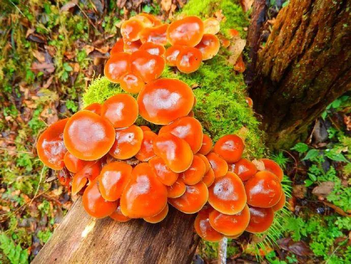 中国马都核心区“的称号”,你去过几个?